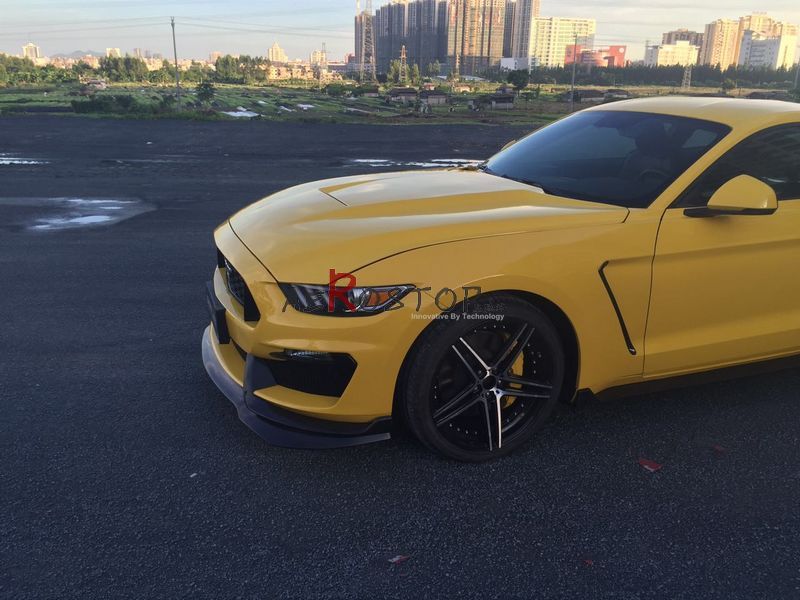 2015+ MUSTANG GT350R STYLE CANARD